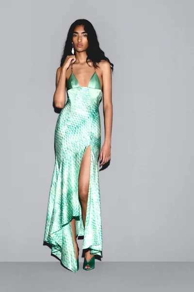 Look 33